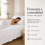 Sábana Elements & Co 200 Hilos Blanco King