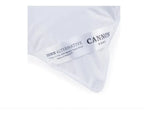 Pack 2 Almohada Cannon Blanco