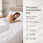 Sábana Elements & Co 200 Hilos Blanco 2 Plazas